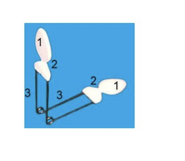 Exercitador Facial - Image 2